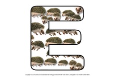 Igelbuchstaben-E.pdf